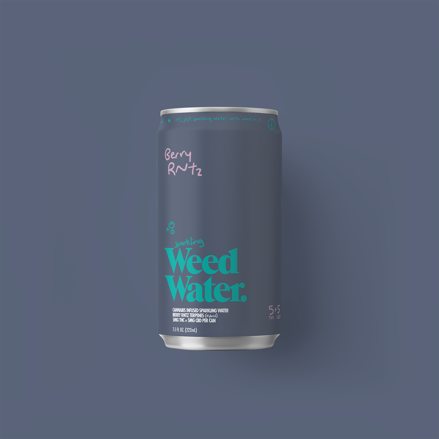 HEMP BERRY RNTZ SELTZER (4-PACK)